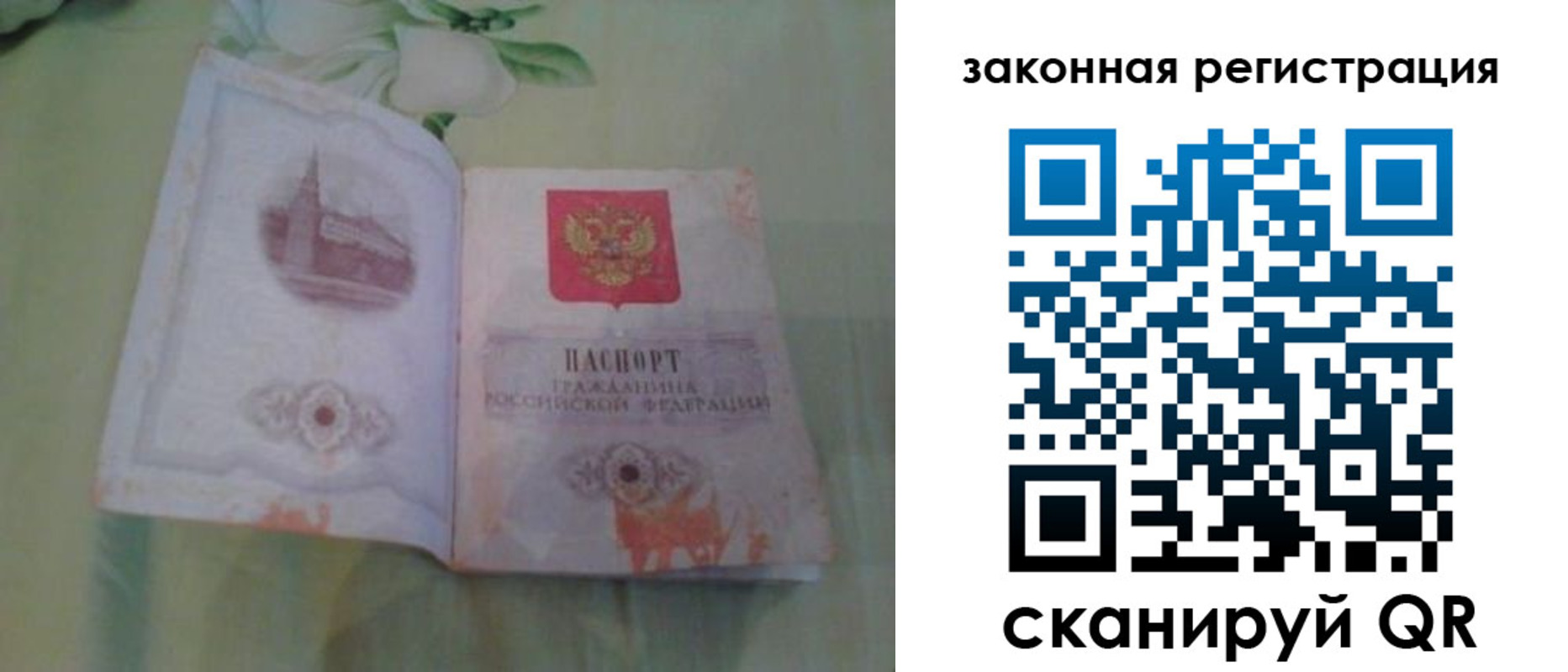 прописка в Кузнецке